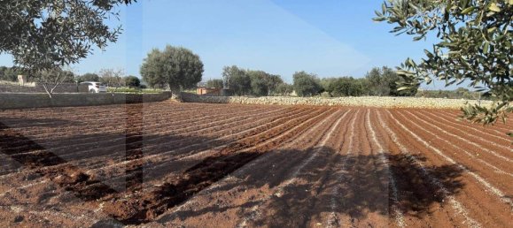 1 room Land in Polignano a Mare, Italy No. 17163 31