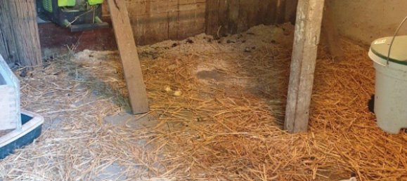 3 chambres Maison à Schleswig-Flensburg, Germany No. 239350 8