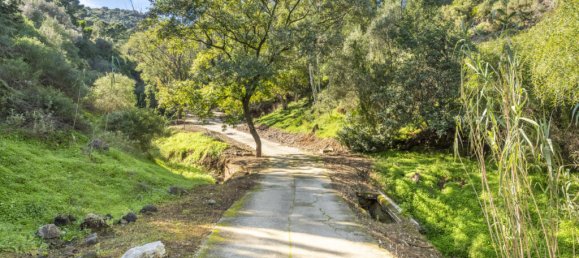 5 Schlafzimmer Haus in Benahavis, Spain, Nr. 76707 25