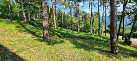 2 rooms Apartment in Predaia, Italy No. 111880 11