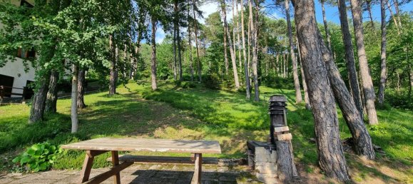 2 rooms Apartment in Predaia, Italy No. 111880 14