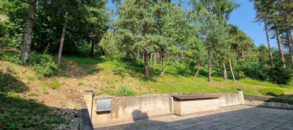 2 rooms Apartment in Predaia, Italy No. 111880 3