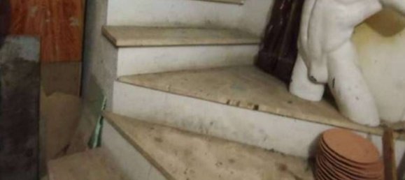 Gewerbliche Immobilie in Assisi, Italy 50m², Nr. 284809 10