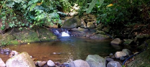  Land in Perez Zeledon, Costa Rica No. 1926 4