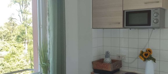 16 غرف نوم بناية في Frankfurt am Main, Germany رقم 16407 27