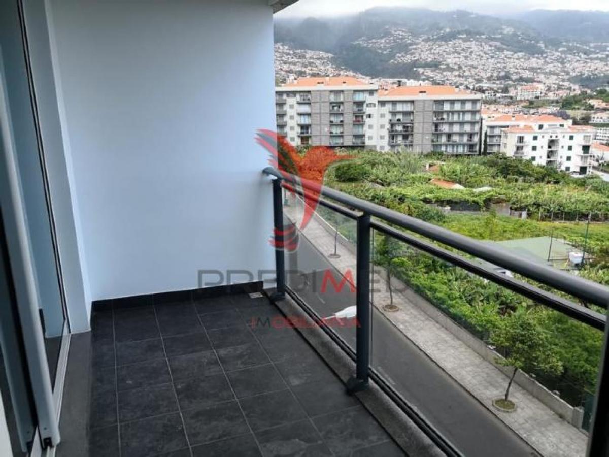 Studio in Funchal, Portugal No. 1024