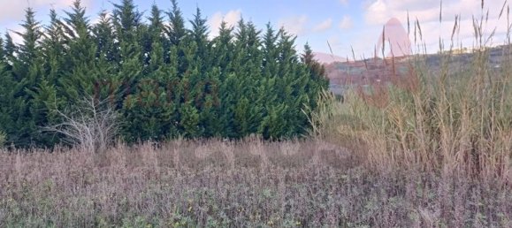 Земельный участок 2529м² в Бомбаррал, Португалия № 91728 2