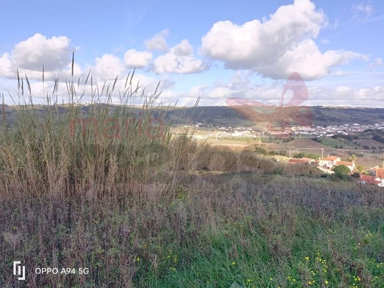 Земельный участок 2529м² в Бомбаррал, Португалия № 91728