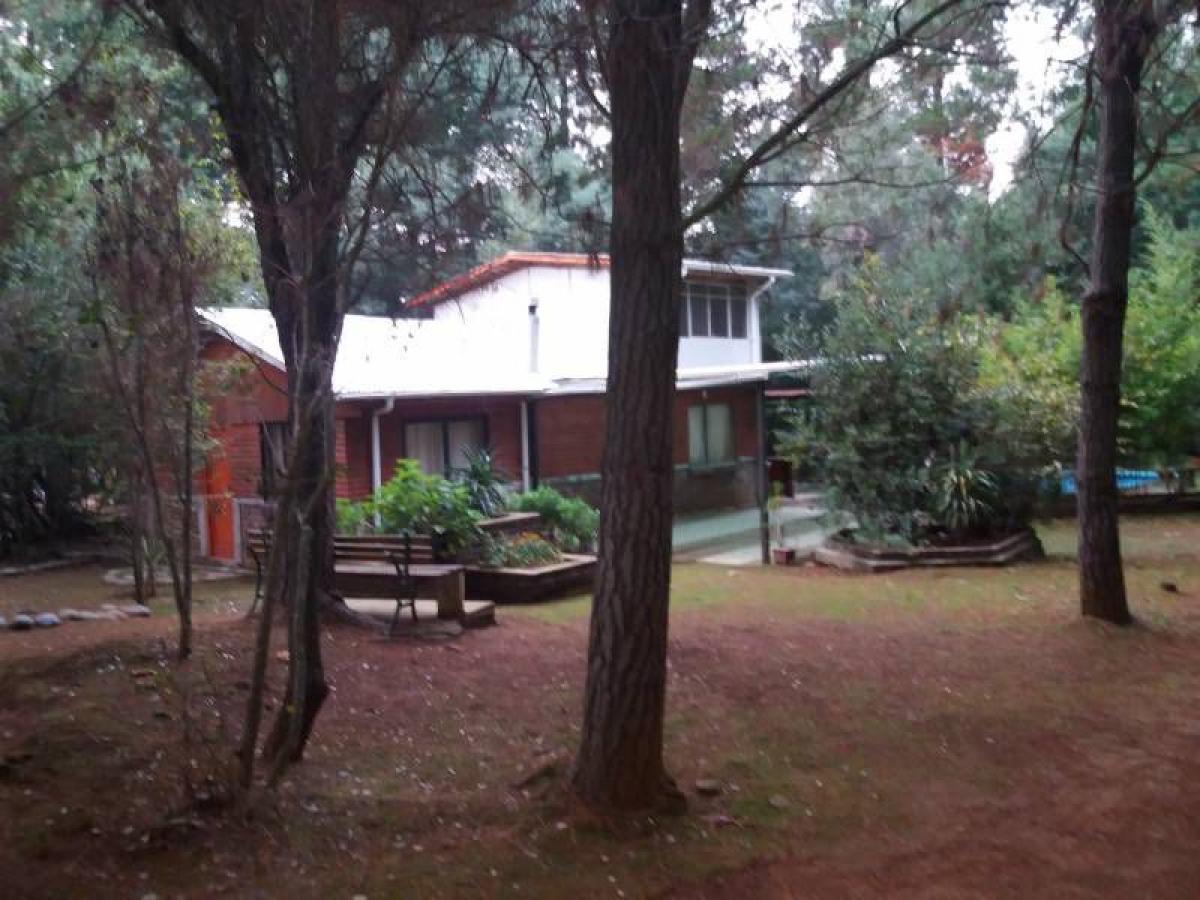  Land in Maule, Chile No. 1364