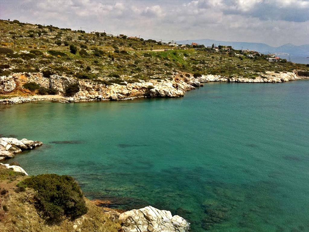 9000m² Hotel in Salamis, Greece No. 7330