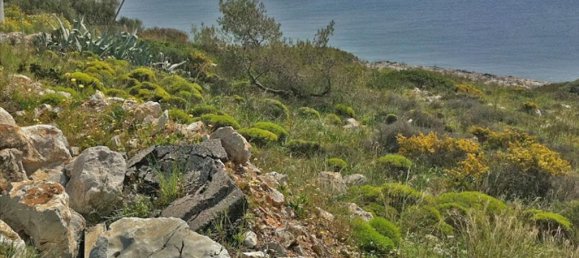 9000m² Hotel in Salamis, Greece No. 7330 2