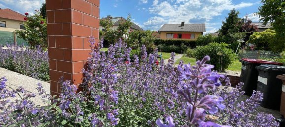 4 rooms House in Stockerau, Austria No. 151209 20