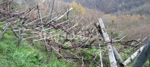 4 bedrooms Apartment in Fosdinovo, Italy No. 134638 29