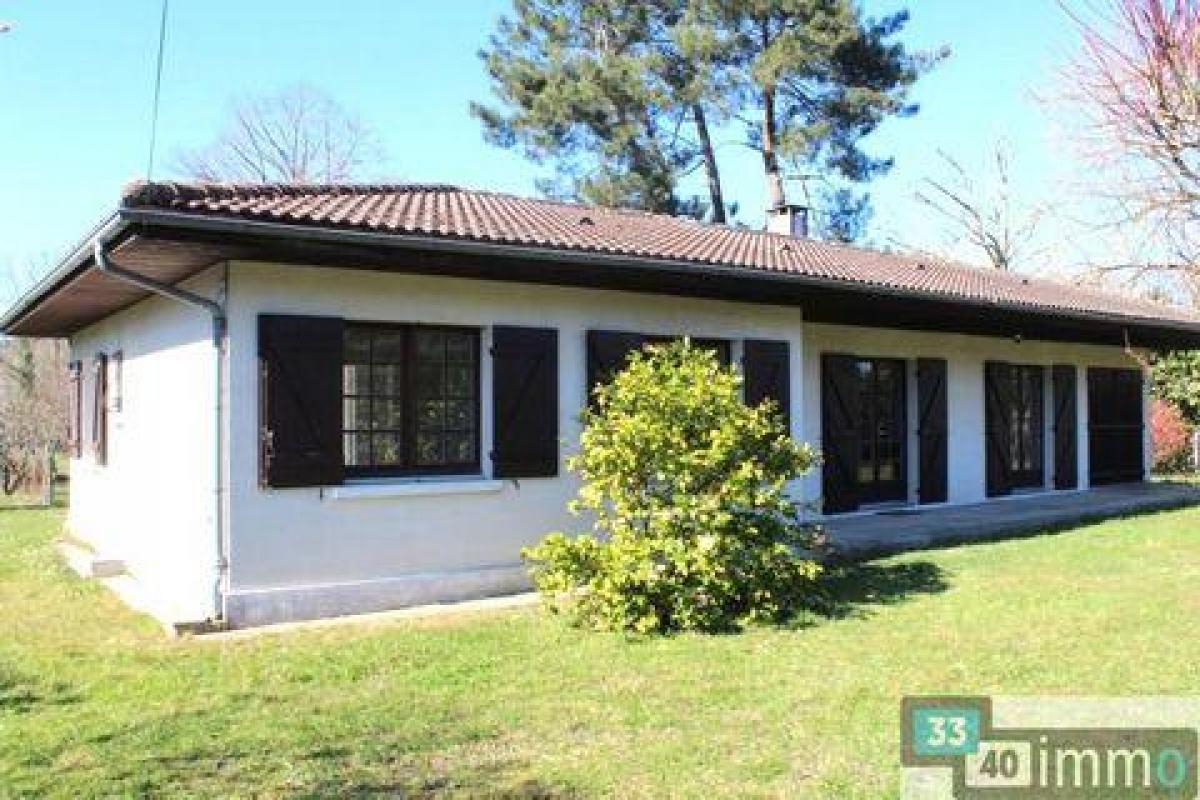 4 chambres Maison à Salles, France No. 24326