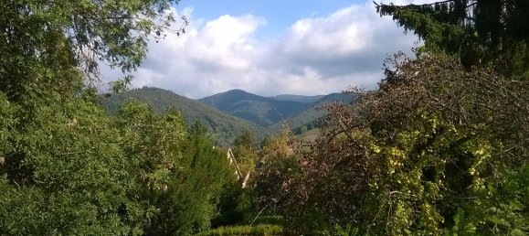 Terreno en Thann, France No. 78243 3