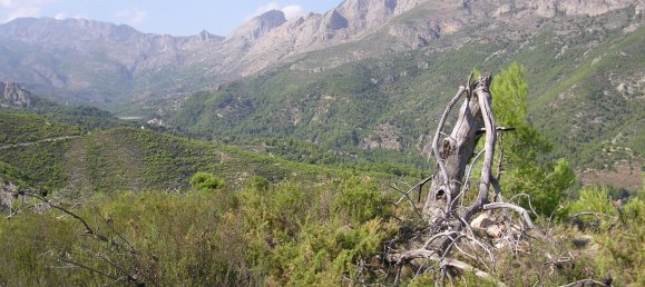 Grundstück in Guadalest, Spain 40m², Nr. 108976 20