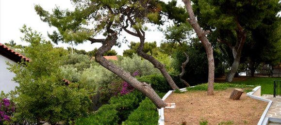 5 bedrooms Villa in Rafina, Greece No. 6740 14