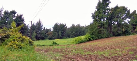 Hôtel à Chalkidiki, Greece 28000m² No. 5709 2