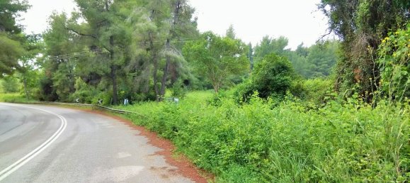 Hôtel à Chalkidiki, Greece 28000m² No. 5709 3