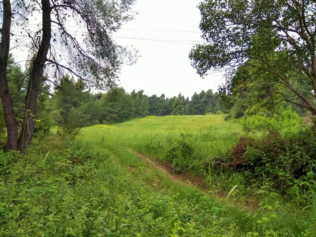 Hôtel à Chalkidiki, Greece 28000m² No. 5709