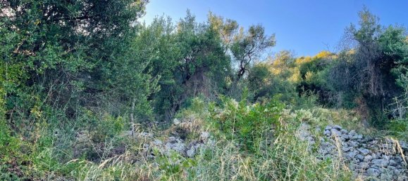  قطعة أرض في Corfu, Greece 4982متر مربع رقم 92625 9