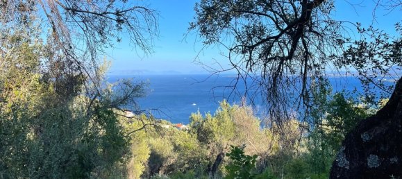  قطعة أرض في Corfu, Greece 4982متر مربع رقم 92625 5