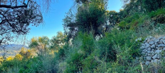  قطعة أرض في Corfu, Greece 4982متر مربع رقم 92625 8
