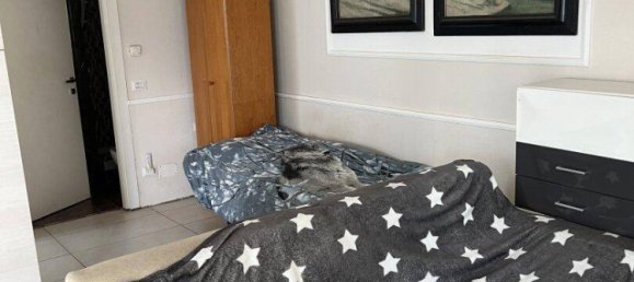 2-Zimmer Wohnung in Krumpendorf am Wörthersee, Austria, Nr. 245783 12