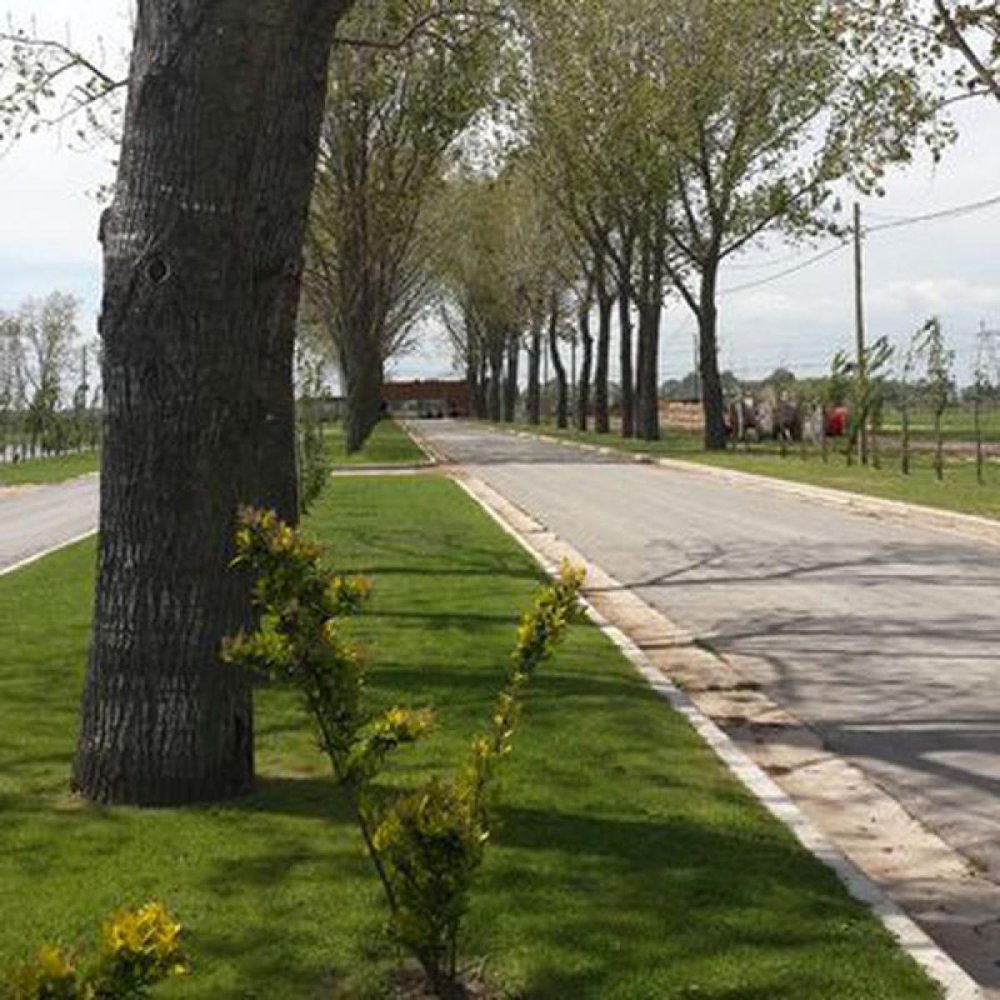  قطعة أرض في Ezeiza, Argentina رقم 47209