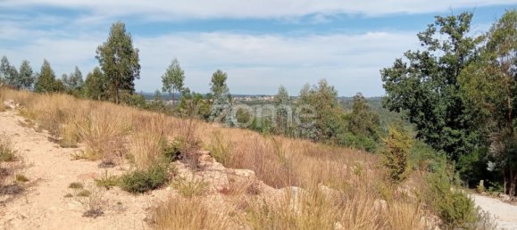  Land in Tondela, Portugal No. 88044 14