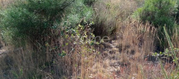  Land in Tondela, Portugal No. 88044 6