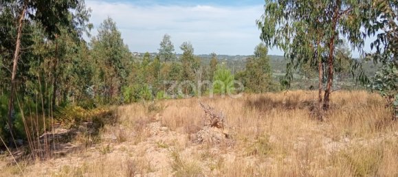  Land in Tondela, Portugal No. 88044 3