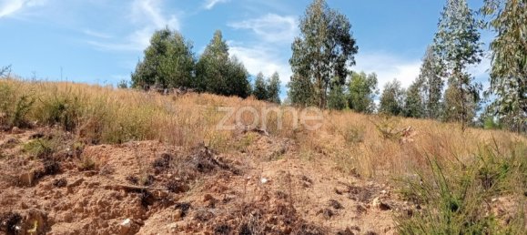  Land in Tondela, Portugal No. 88044 15