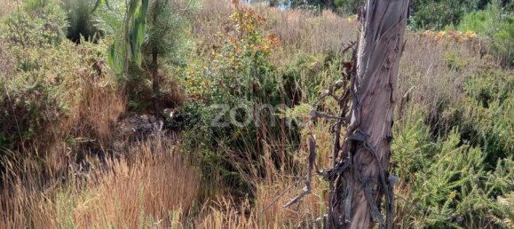  Land in Tondela, Portugal No. 88044 5