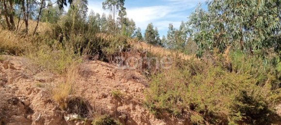  Land in Tondela, Portugal No. 88044 8