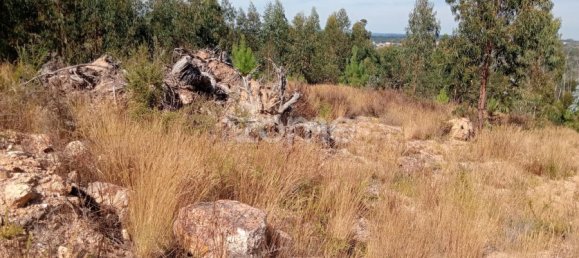  Land in Tondela, Portugal No. 88044 11