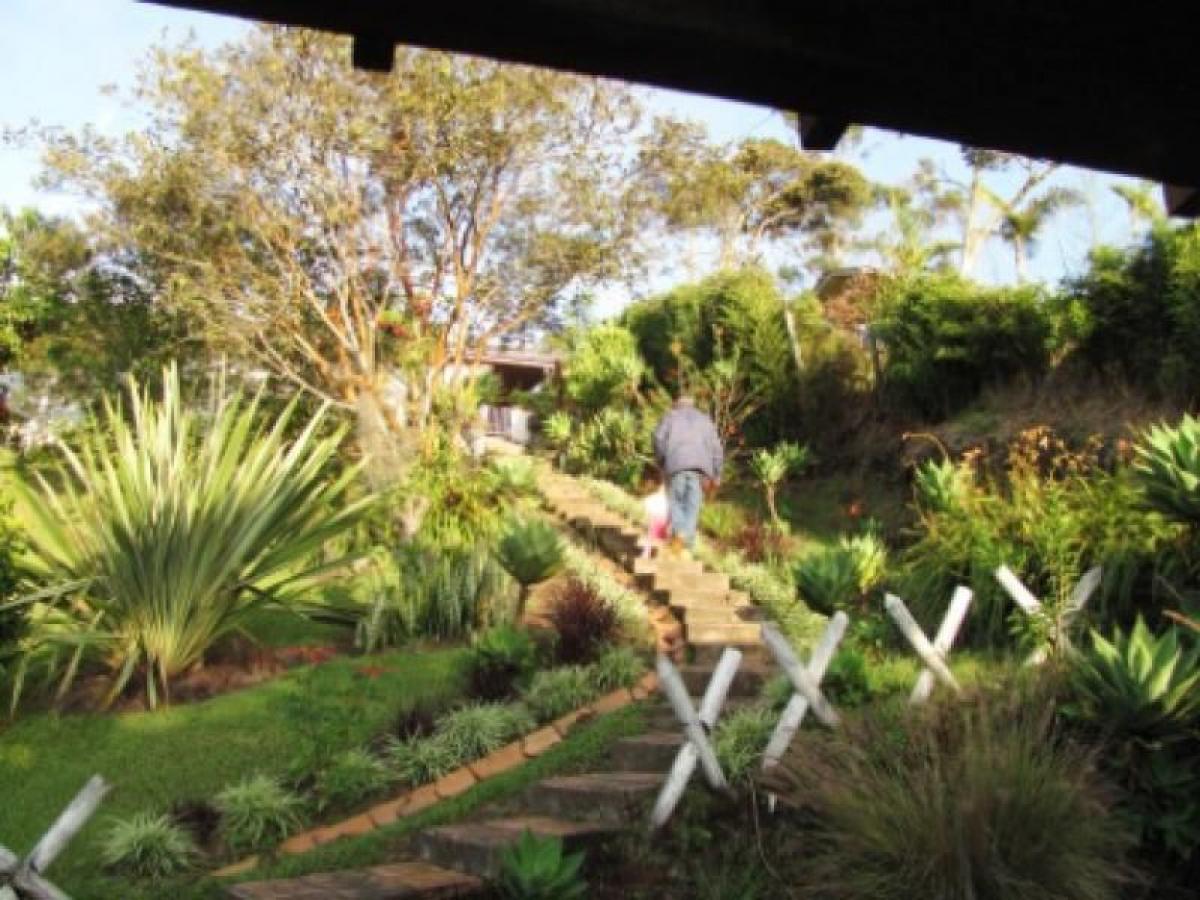 4 غرف نوم منزل في Antioquia, Colombia رقم 7557