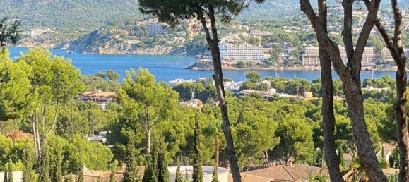 5 bedrooms Villa in Nova Santa Ponsa, Spain No. 14145 5