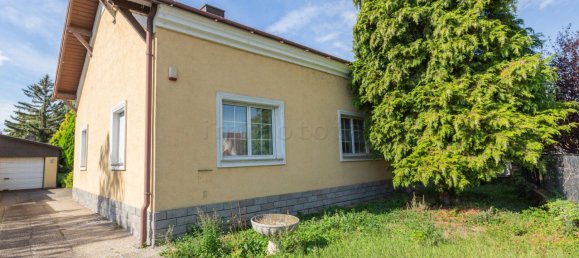 Земельный участок в Хеннерсдорф, Австрия № 254567 8