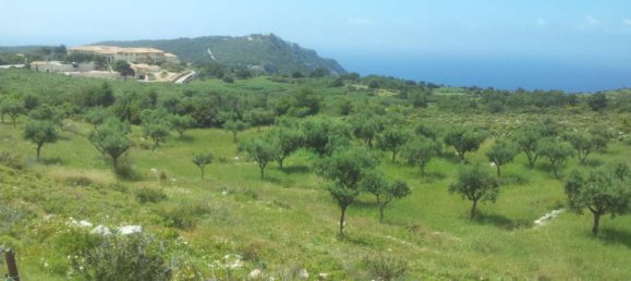  Hotel in Zakynthos, Greece No. 479 8