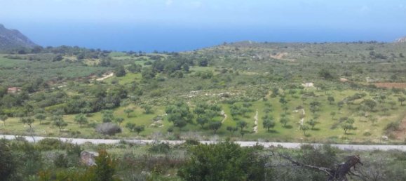  Hotel in Zakynthos, Greece No. 479 10