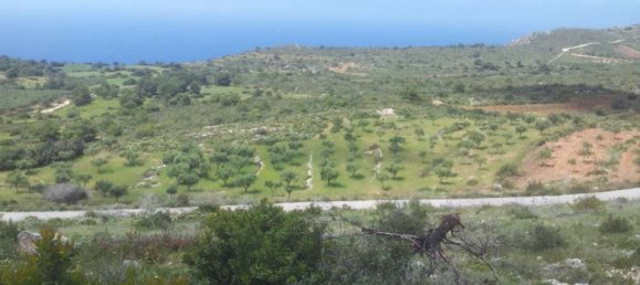  Hotel in Zakynthos, Greece No. 479 12