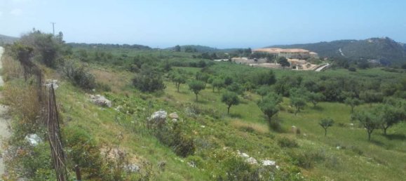  Hotel in Zakynthos, Greece No. 479 4