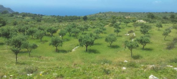  Hotel in Zakynthos, Greece No. 479 3