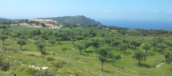  Hotel in Zakynthos, Greece No. 479 13