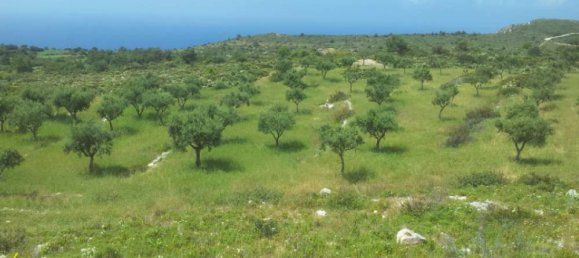  Hotel in Zakynthos, Greece No. 479 15