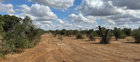 Terreno em Gallipoli, Italy 8700 m² N.º 236942 10