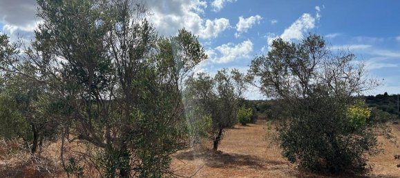 Terreno em Gallipoli, Italy 8700 m² N.º 236942 6