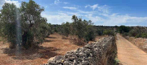 Terreno em Gallipoli, Italy 8700 m² N.º 236942 2