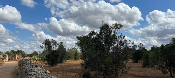 Terreno em Gallipoli, Italy 8700 m² N.º 236942 4